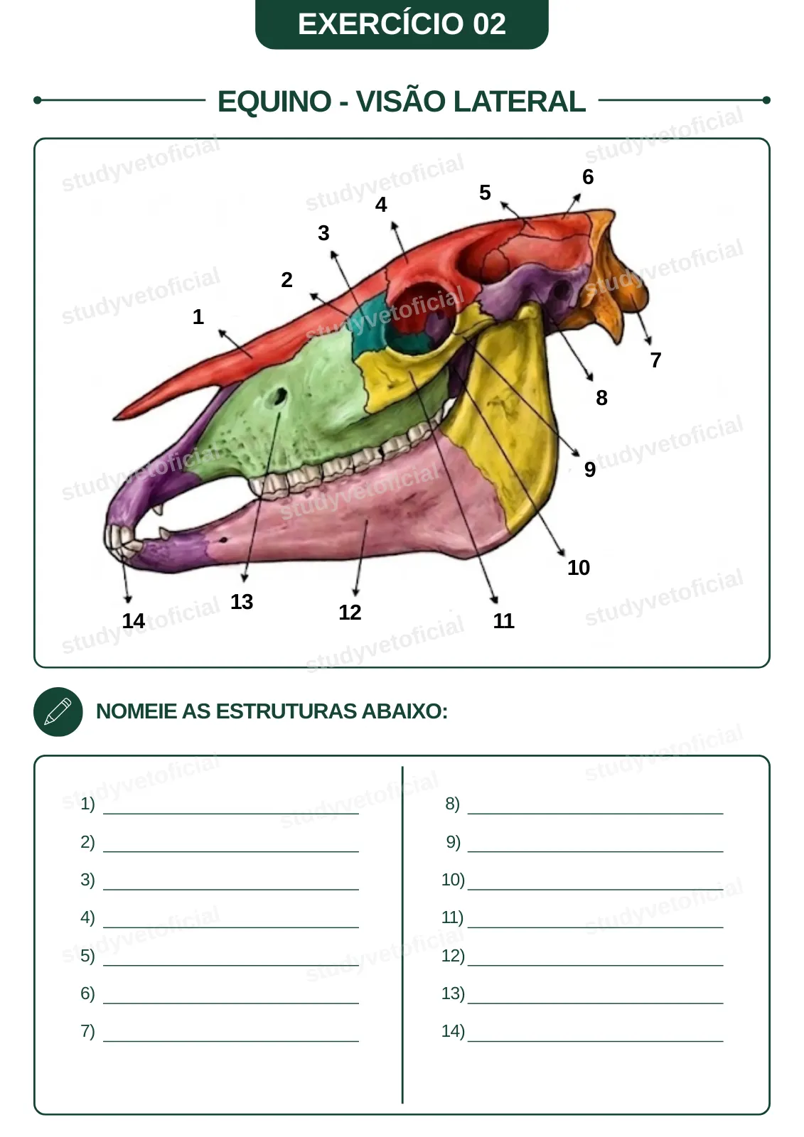 EXERCÍCIO-02