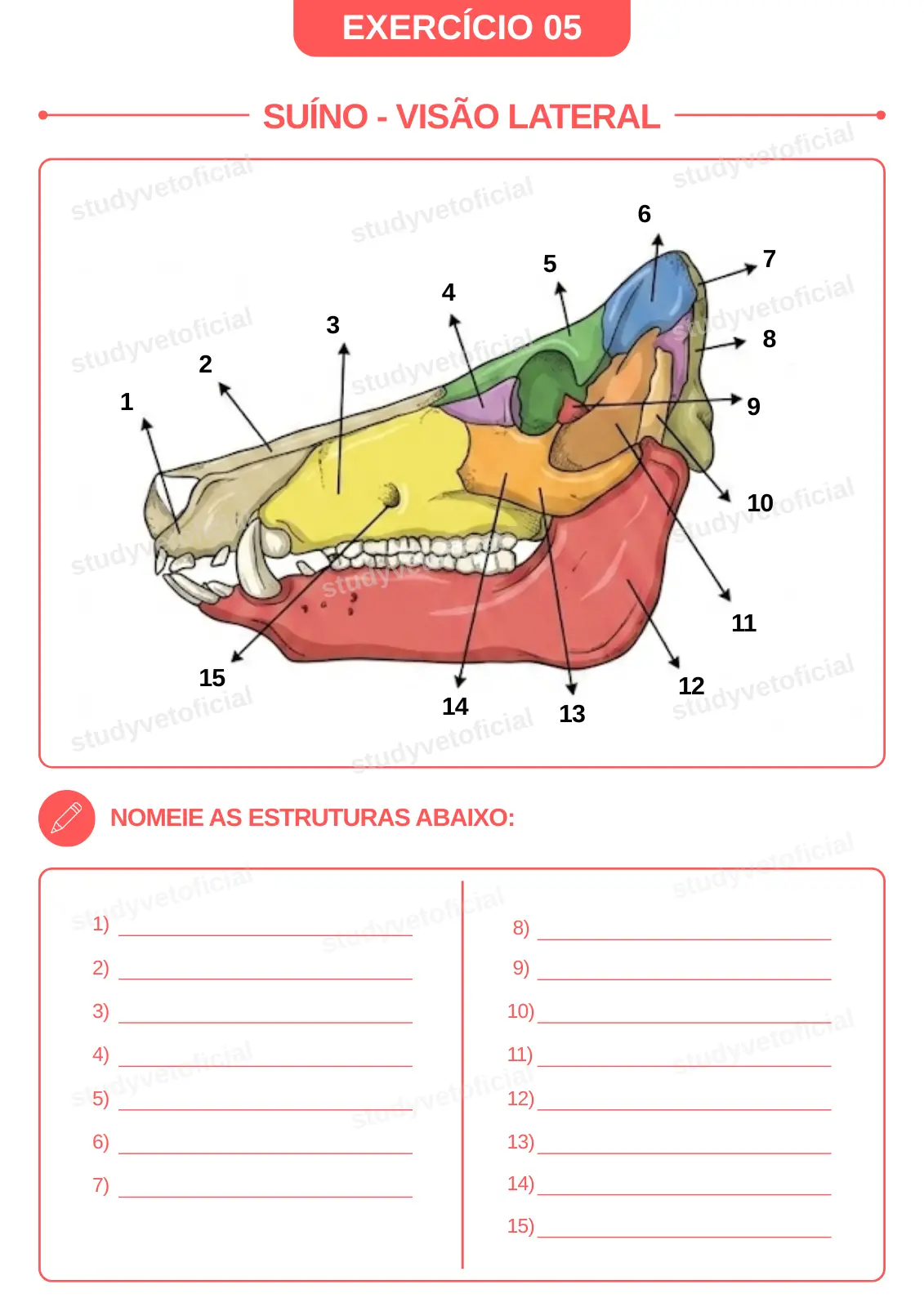 EXERCÍCIO 05 - colorido